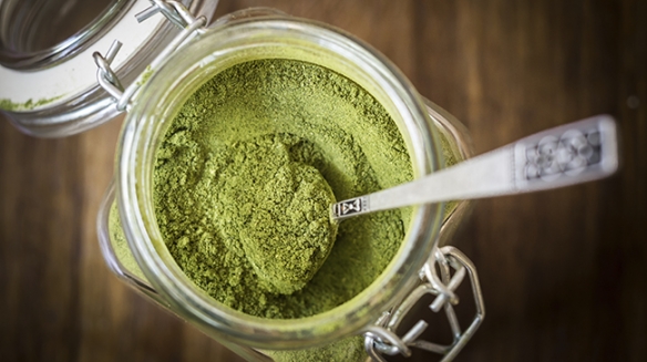 Moringa  - čudesno drvo koje će te pomladiti!